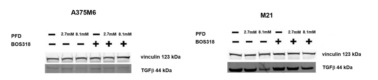 Experimental Validation Results for BOS-318