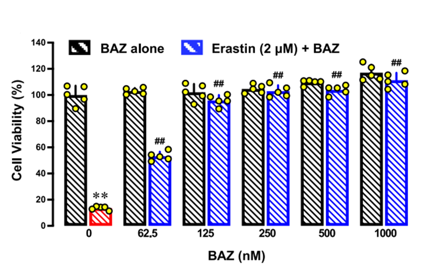 Experimental Validation Results for Bazedoxifene