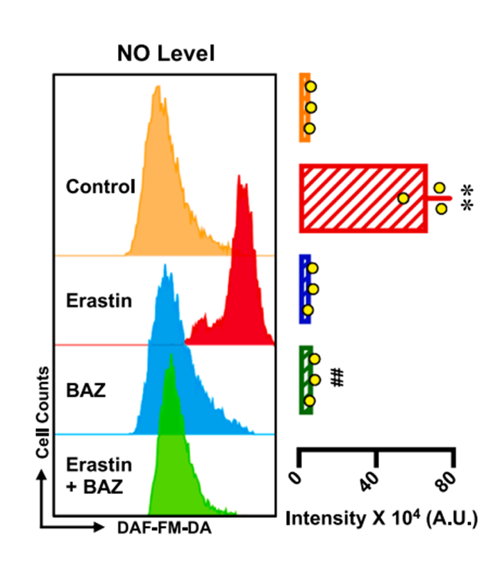 Experimental Validation Results for Bazedoxifene