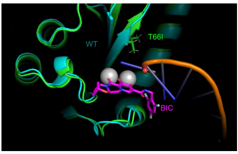 Experimental Validation Results for Bictegravir sodium