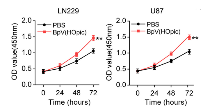 Experimental Validation Results for BpV(HOpic)