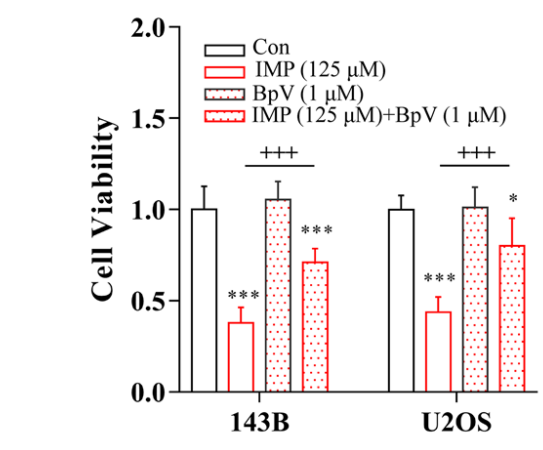 Experimental Validation Results for BpV(HOpic)