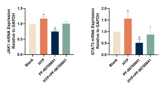 Experimental Validation Results for Brepocitinib
