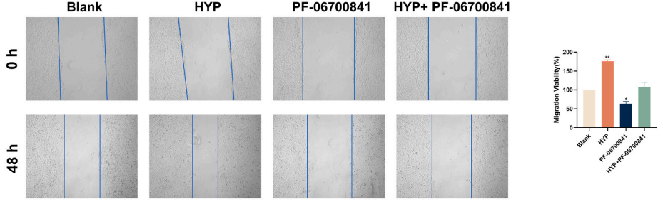 Experimental Validation Results for Brepocitinib