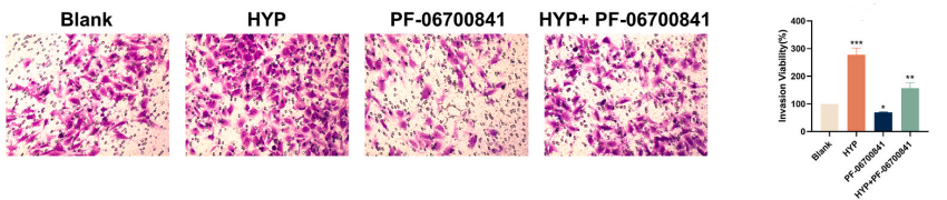 Experimental Validation Results for Brepocitinib