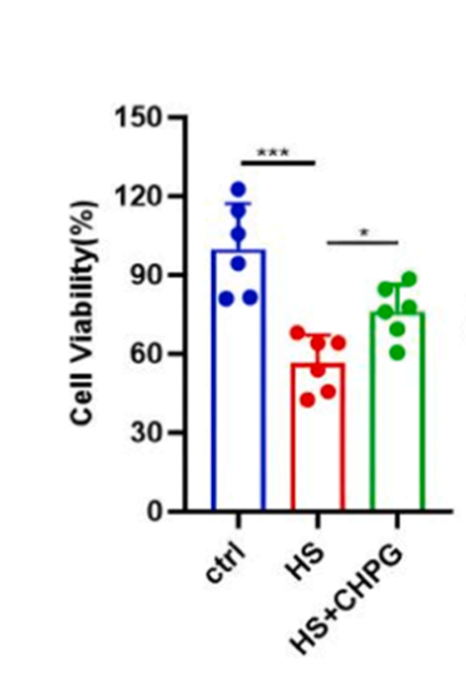 Experimental Validation Results for CHPG