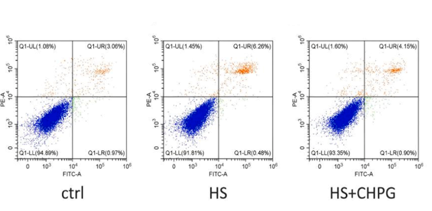 Experimental Validation Results for CHPG