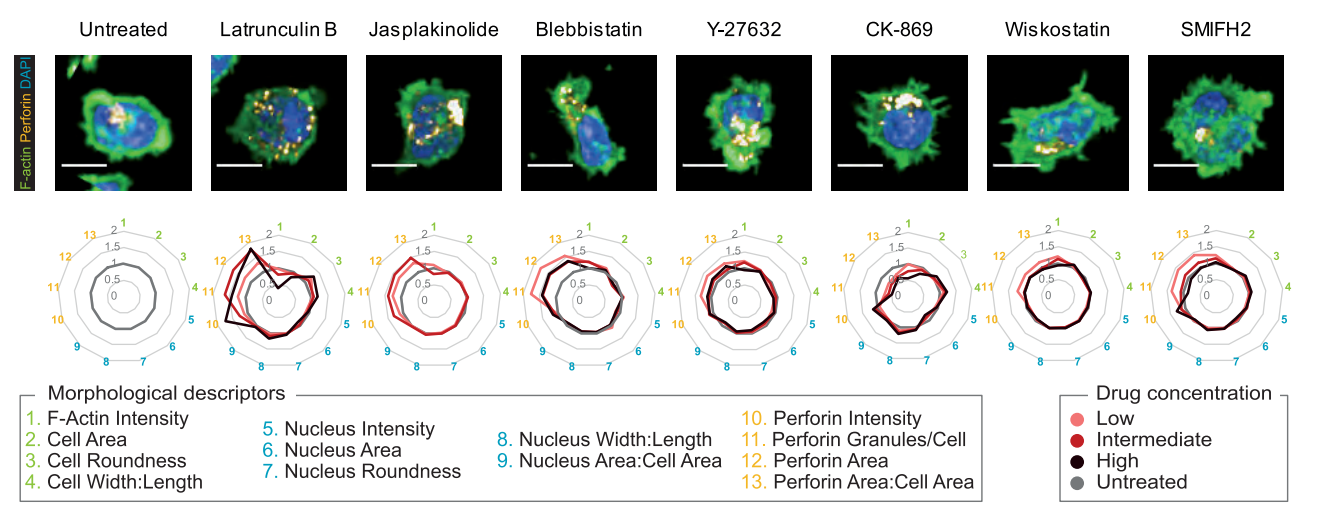 Experimental Validation Results for CK-869