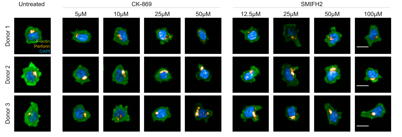 Experimental Validation Results for CK-869