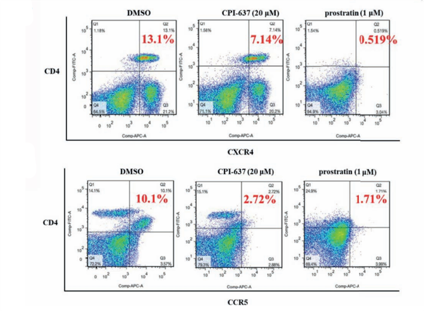 Experimental Validation Results for CPI-637