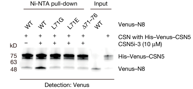 Experimental Validation Results for CSN5i-3