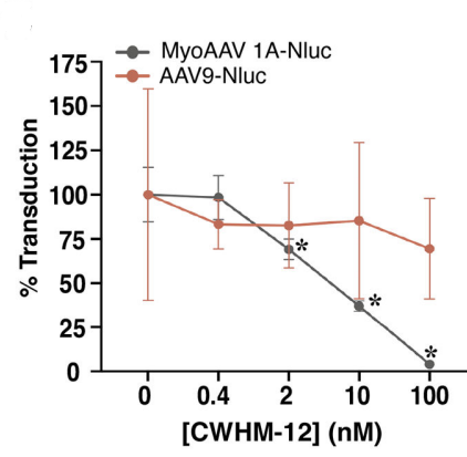 Experimental Validation Results for CWHM-12