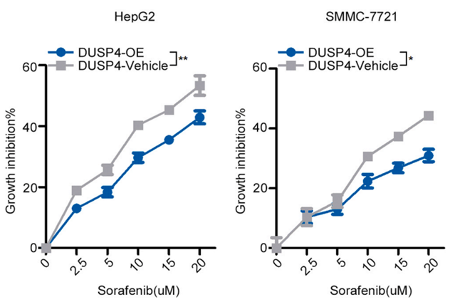 Experimental Validation Results for Cell Counting Kit-8
