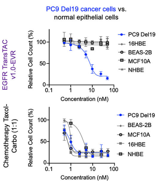 Experimental Validation Results for Cell Counting Kit-8