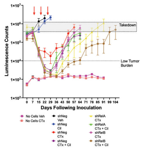 Experimental Validation Results for Cilengitide