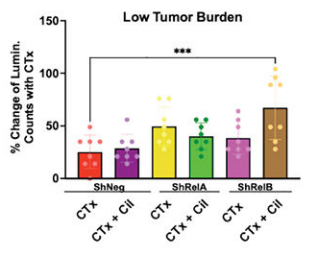 Experimental Validation Results for Cilengitide