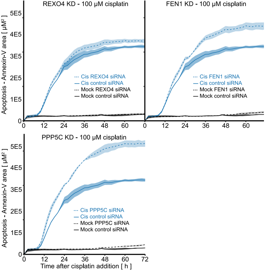 Experimental Validation Results for Cisplatin