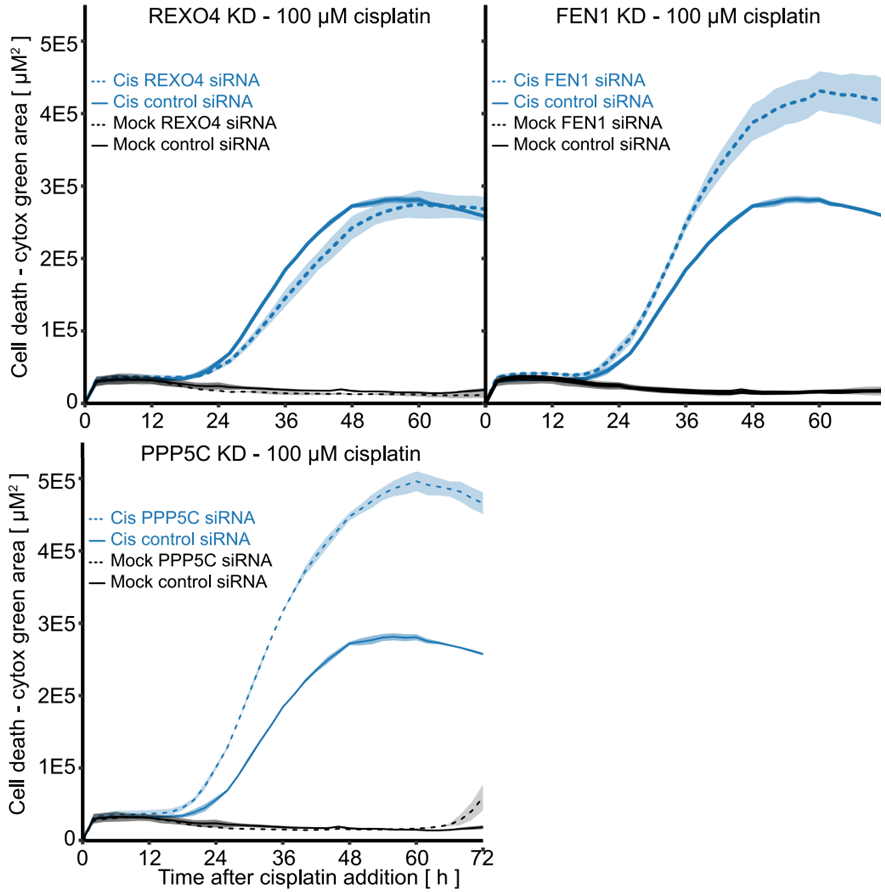 Experimental Validation Results for Cisplatin