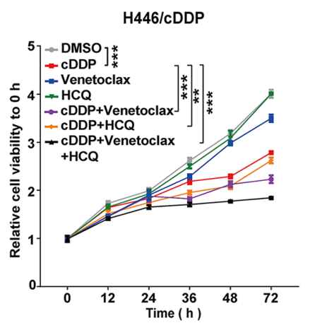 Experimental Validation Results for Cisplatin