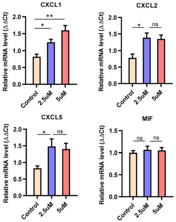 Experimental Validation Results for Cisplatin