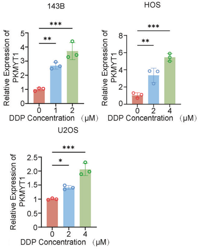 Experimental Validation Results for Cisplatin