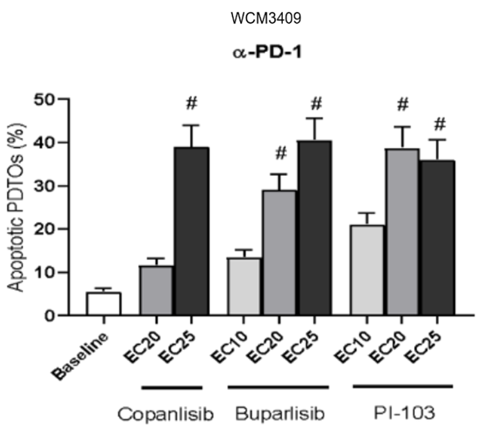 Experimental Validation Results for Copanlisib