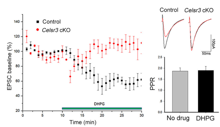 Experimental Validation Results for DHPG
