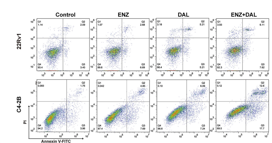 Experimental Validation Results for Dalpiciclib