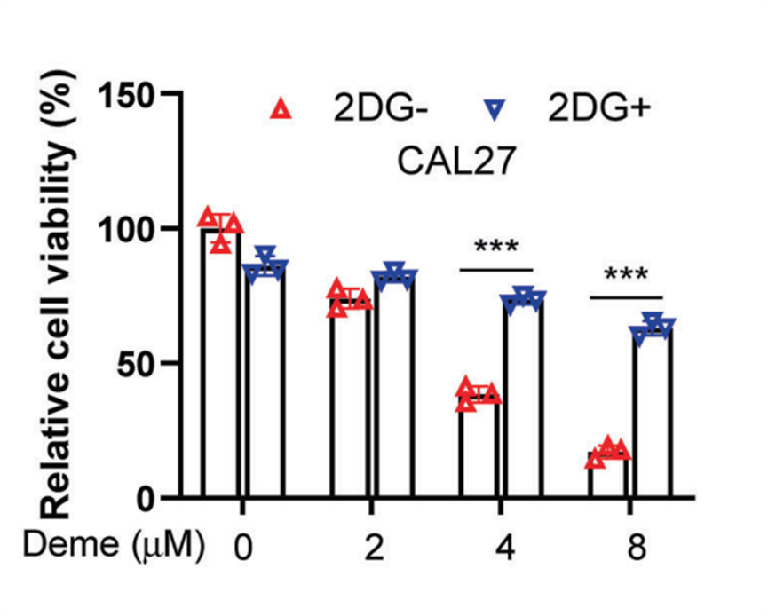Experimental Validation Results for Demethoxycurcumin