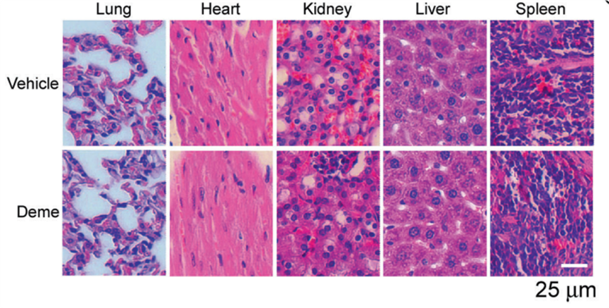 Experimental Validation Results for Demethoxycurcumin
