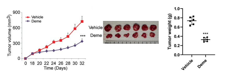 Experimental Validation Results for Demethoxycurcumin