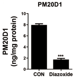 Experimental Validation Results for Diazoxide