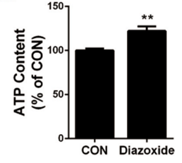 Experimental Validation Results for Diazoxide