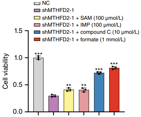 Experimental Validation Results for Dorsomorphin