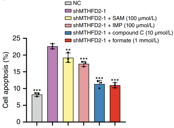 Experimental Validation Results for Dorsomorphin