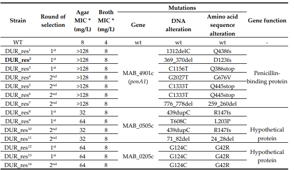 Experimental Validation Results for Durlobactam sodium
