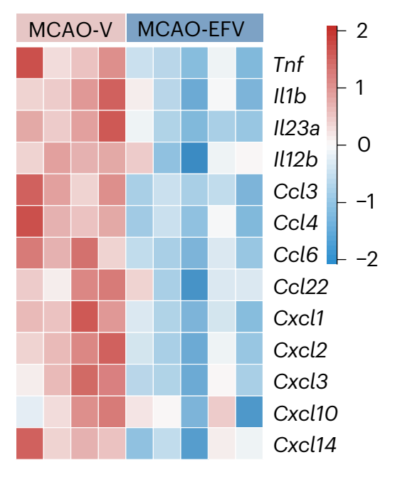 PLX5622 | CSF1R Inhibitor | MedChemExpress