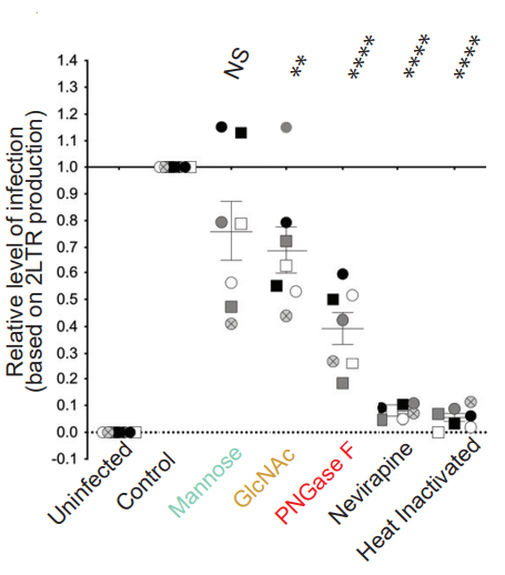 Experimental Validation Results for Enfuvirtide acetate