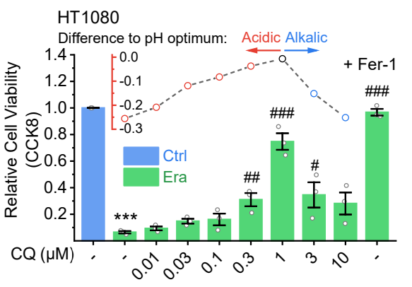 Experimental Validation Results for Erastin