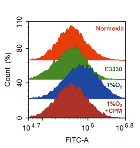 Experimental Validation Results for Erenapurstat