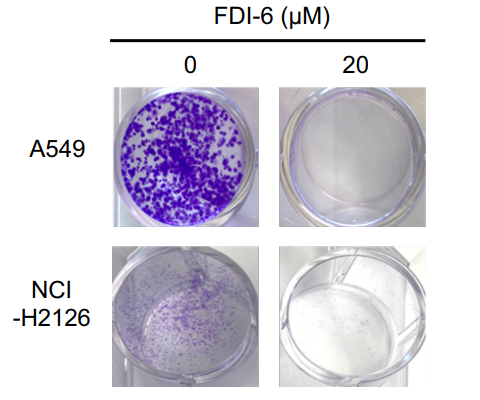 Experimental Validation Results for FDI-6