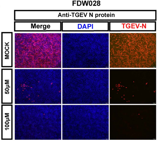 Experimental Validation Results for FDW028