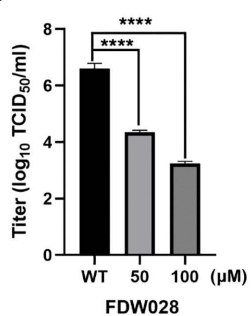 Experimental Validation Results for FDW028