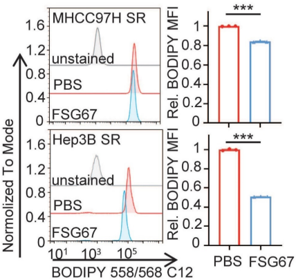 Experimental Validation Results for FSG67