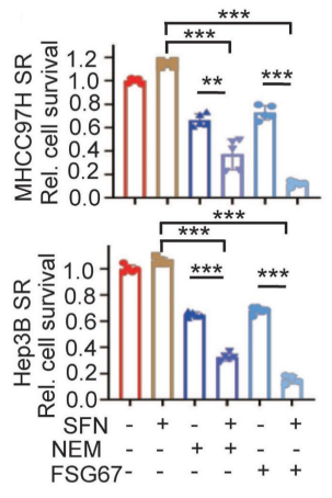 Experimental Validation Results for FSG67