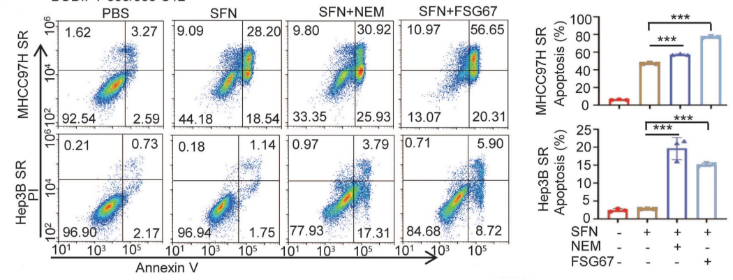 Experimental Validation Results for FSG67