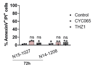 Experimental Validation Results for Fadraciclib