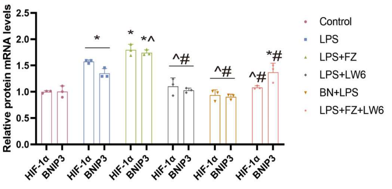 Experimental Validation Results for Fenbendazole