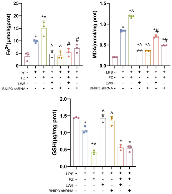 Experimental Validation Results for Fenbendazole