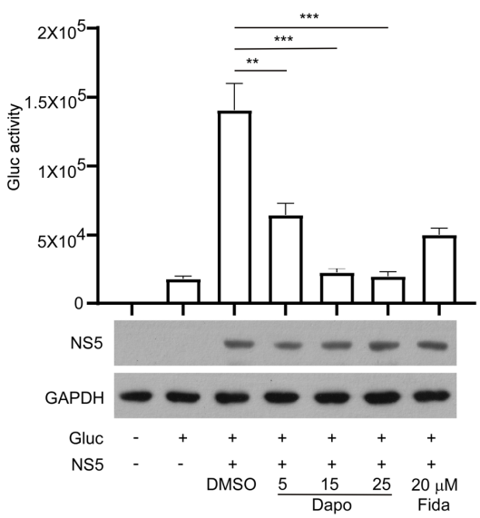Experimental Validation Results for Fidaxomicin